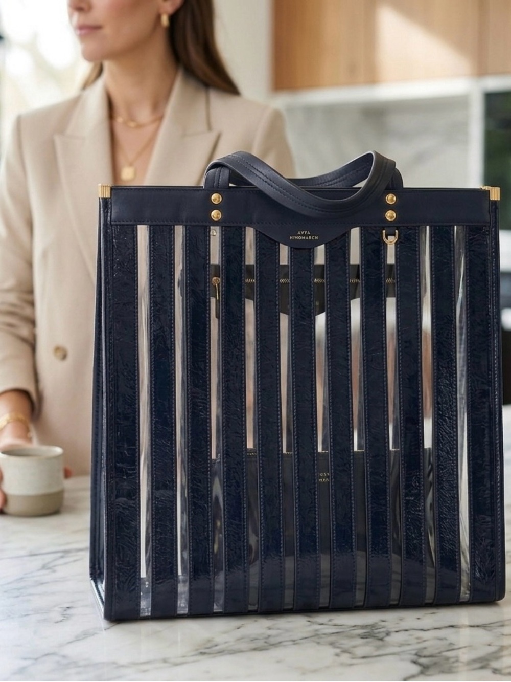 ✨ Anya Hindmarch Multi Stripe Tote ✨  RARE Spring 2018 Runway ✨ NWOT ✨